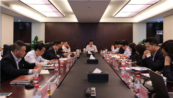 從嚴(yán)治黨強(qiáng)擔(dān)當(dāng) 黨建引領(lǐng)謀發(fā)展——公司召開(kāi)2019年度黨建和黨風(fēng)廉政建設(shè)工作會(huì)議