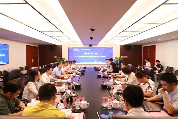 廣西國資委調(diào)研組一行到訪我司